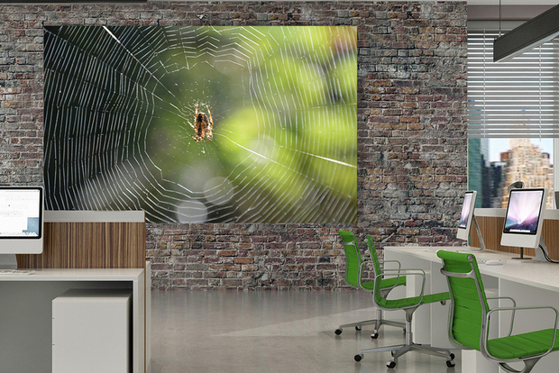 Grootformaat foto op dibond